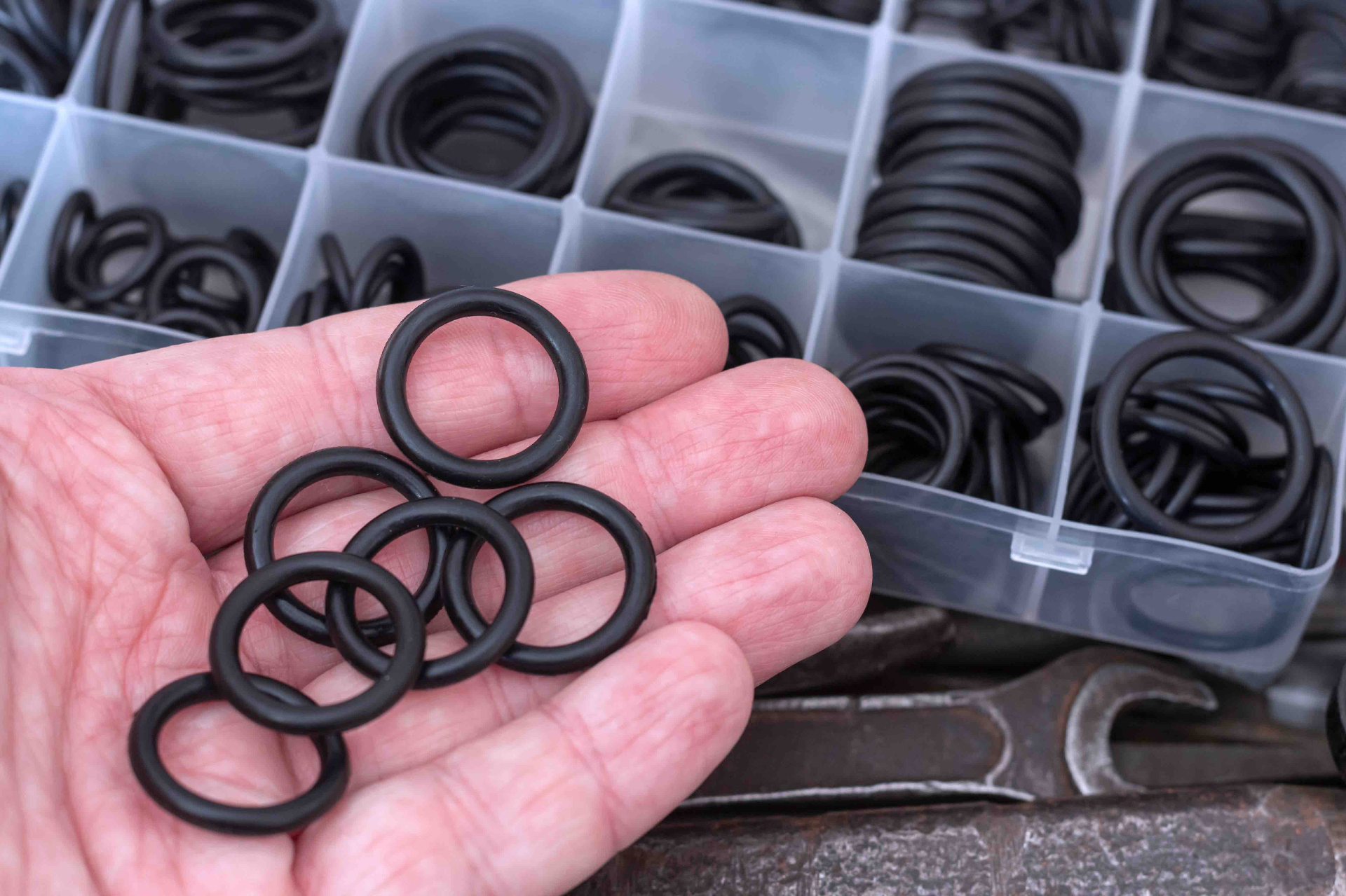 O-Rings